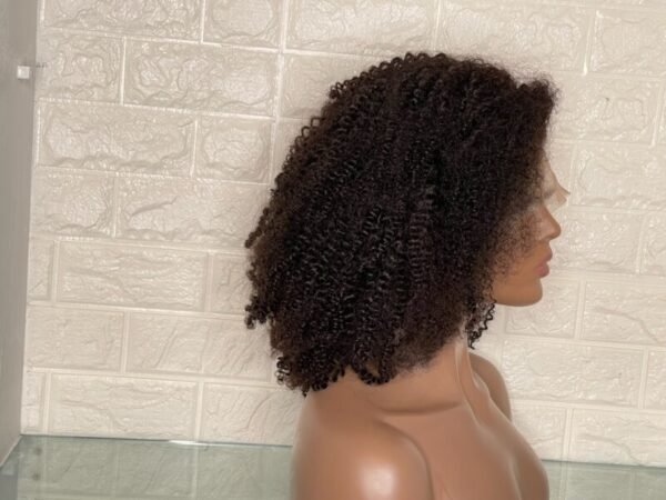 FHP Lace Frontal Wig 13*6 – Afro Kinky 4A–4B - Image 4
